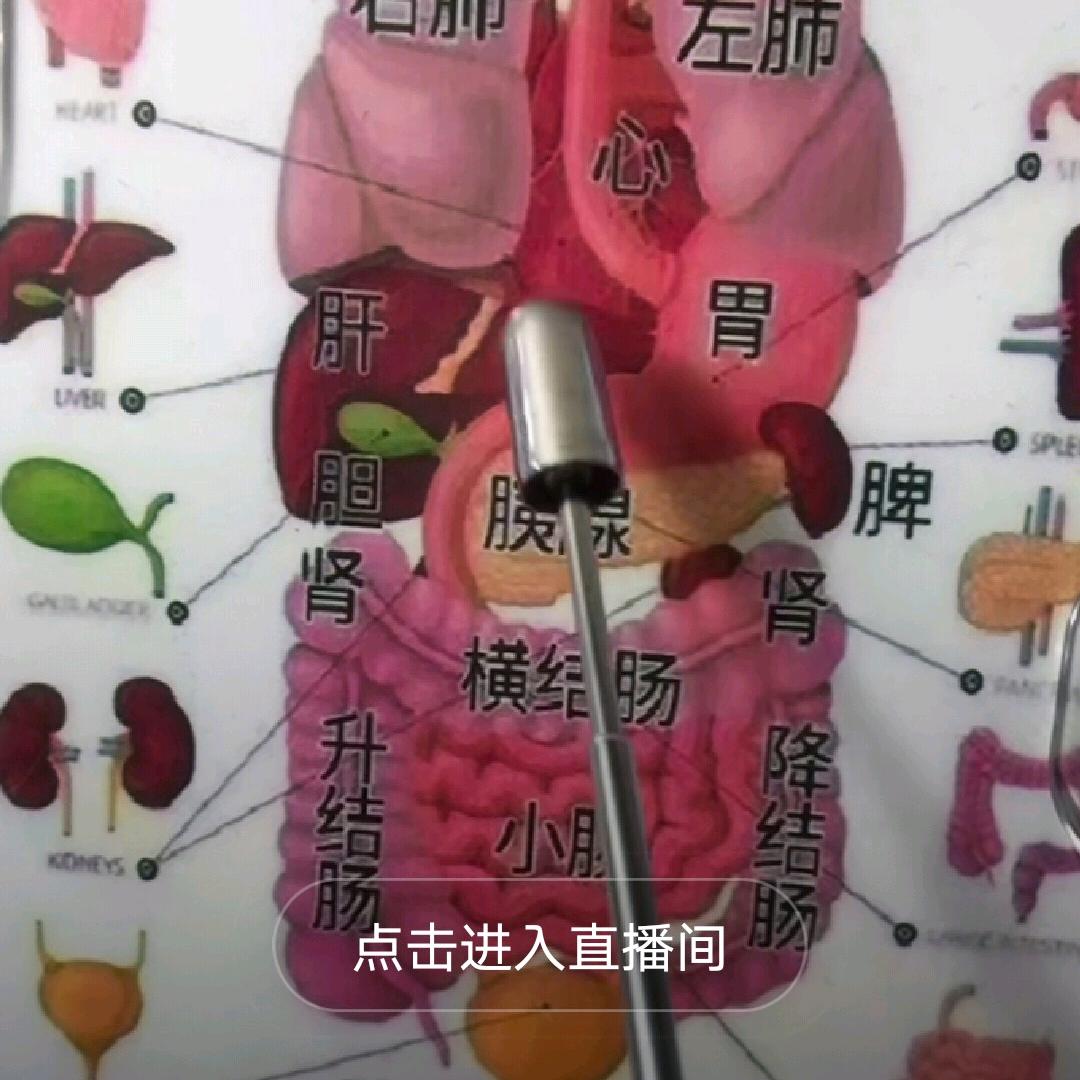 栾茜媛