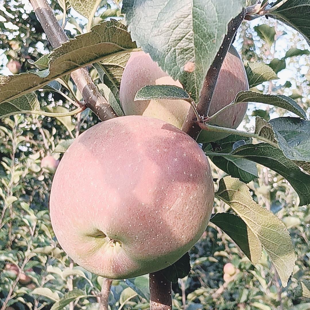 🧜‍♀️独宠自己🧜‍♀️