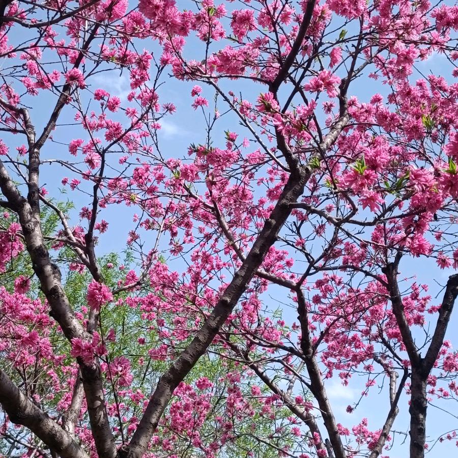留玉思书