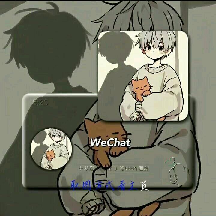 三只小喵的小号