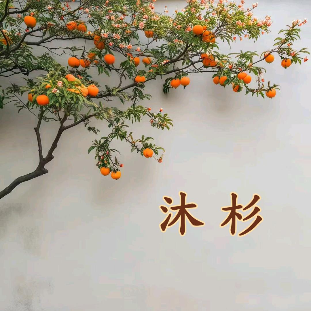 沐杉高定香云纱