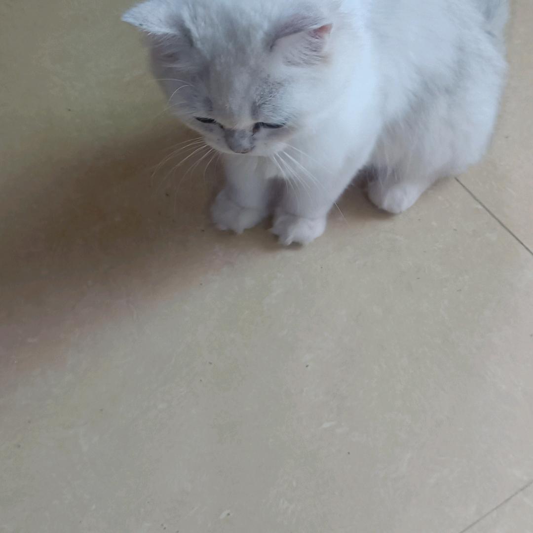 我在等你 🌹🌹