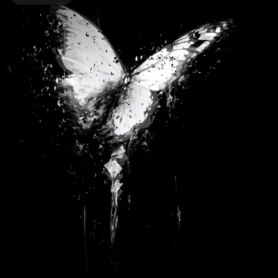 屋檐·想自由👑空心菜