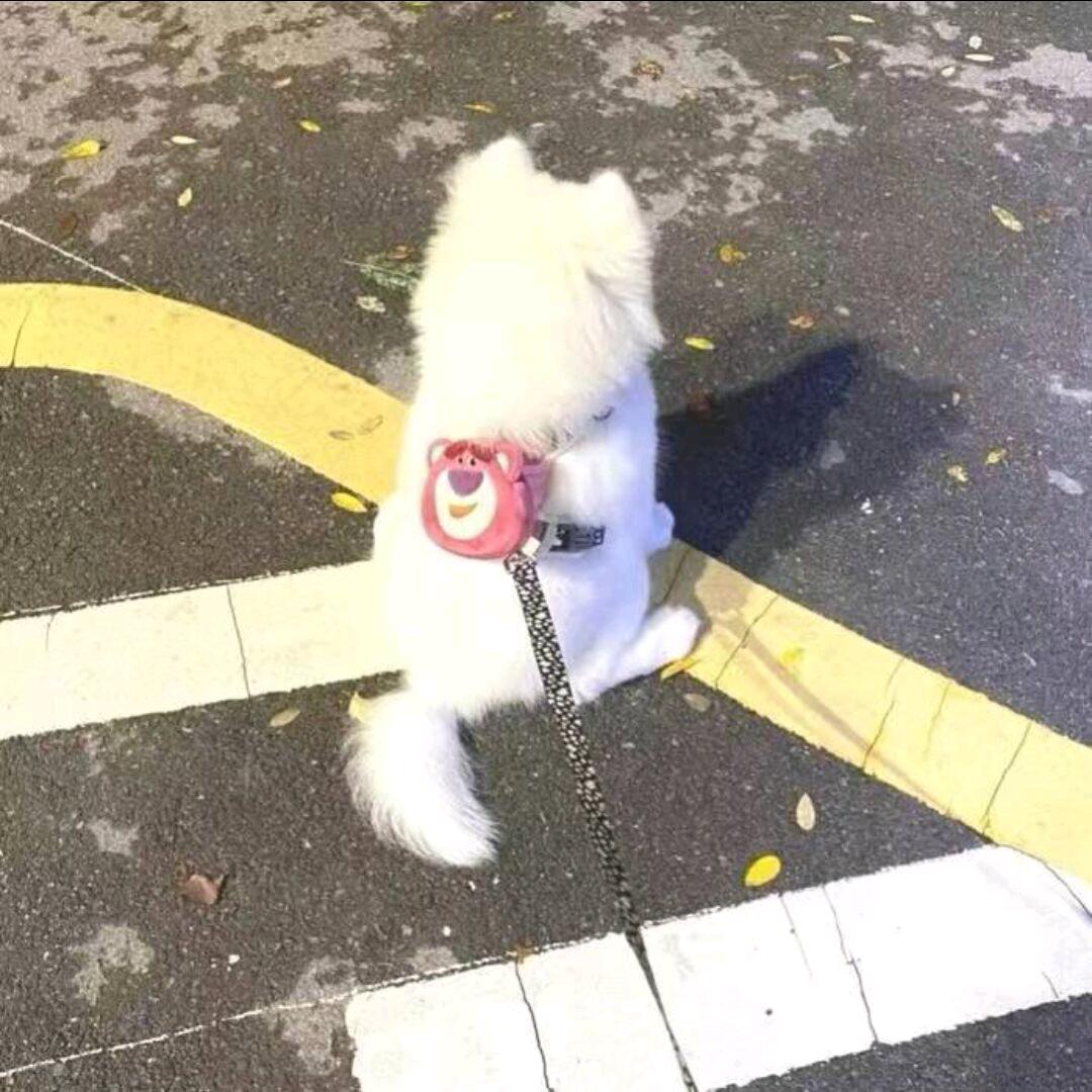 鸭梨