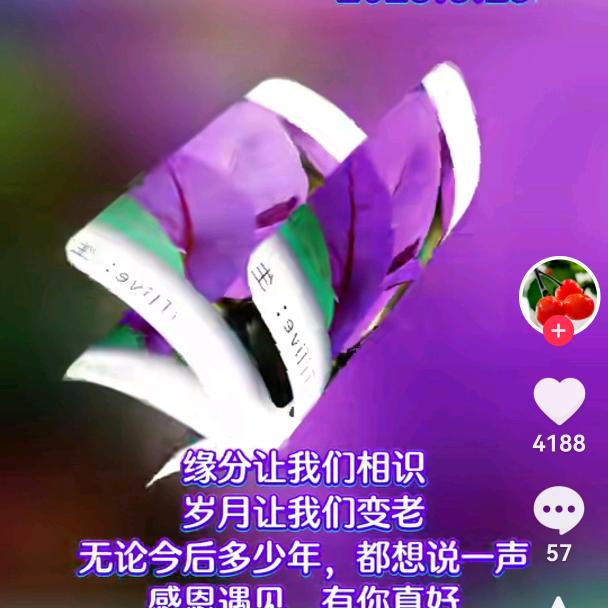 九酒久
