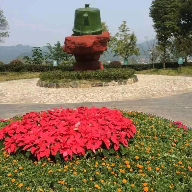 等风等雨我等你