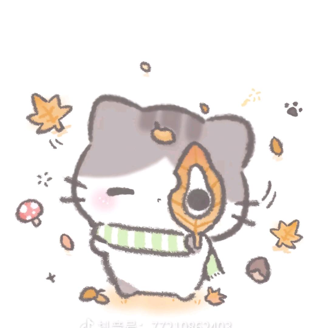 幸福小猫᳐ ੭