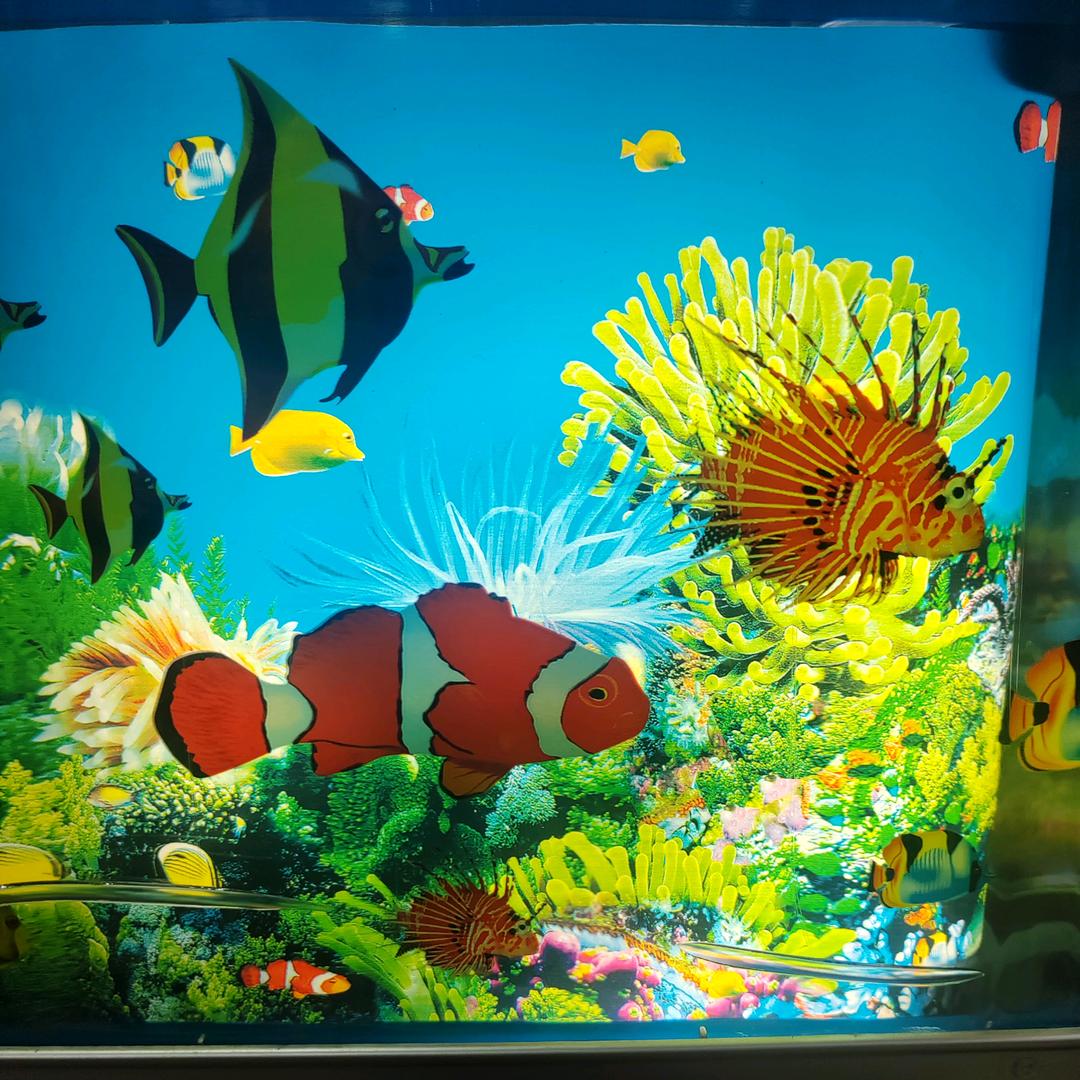 ❤️念伊🌹💐