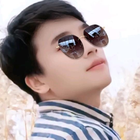 壮哥 🦋预制桥梁队伍