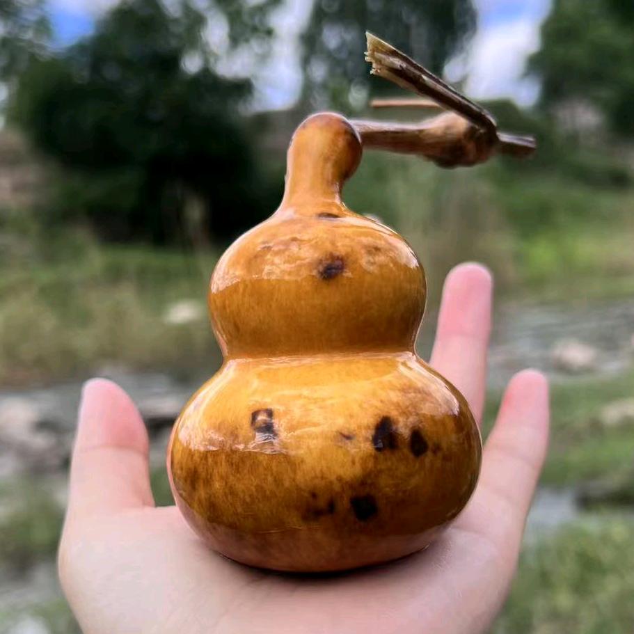 呼噜不是葫芦₍˄·͈༝·͈˄₎◞ ̑̑