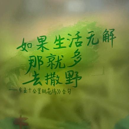 包子馒头爱米饭