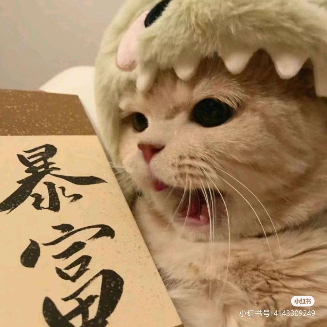 丫头😈