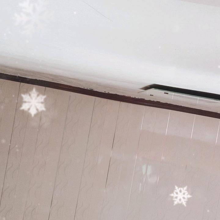 飞雪连天射白鹿