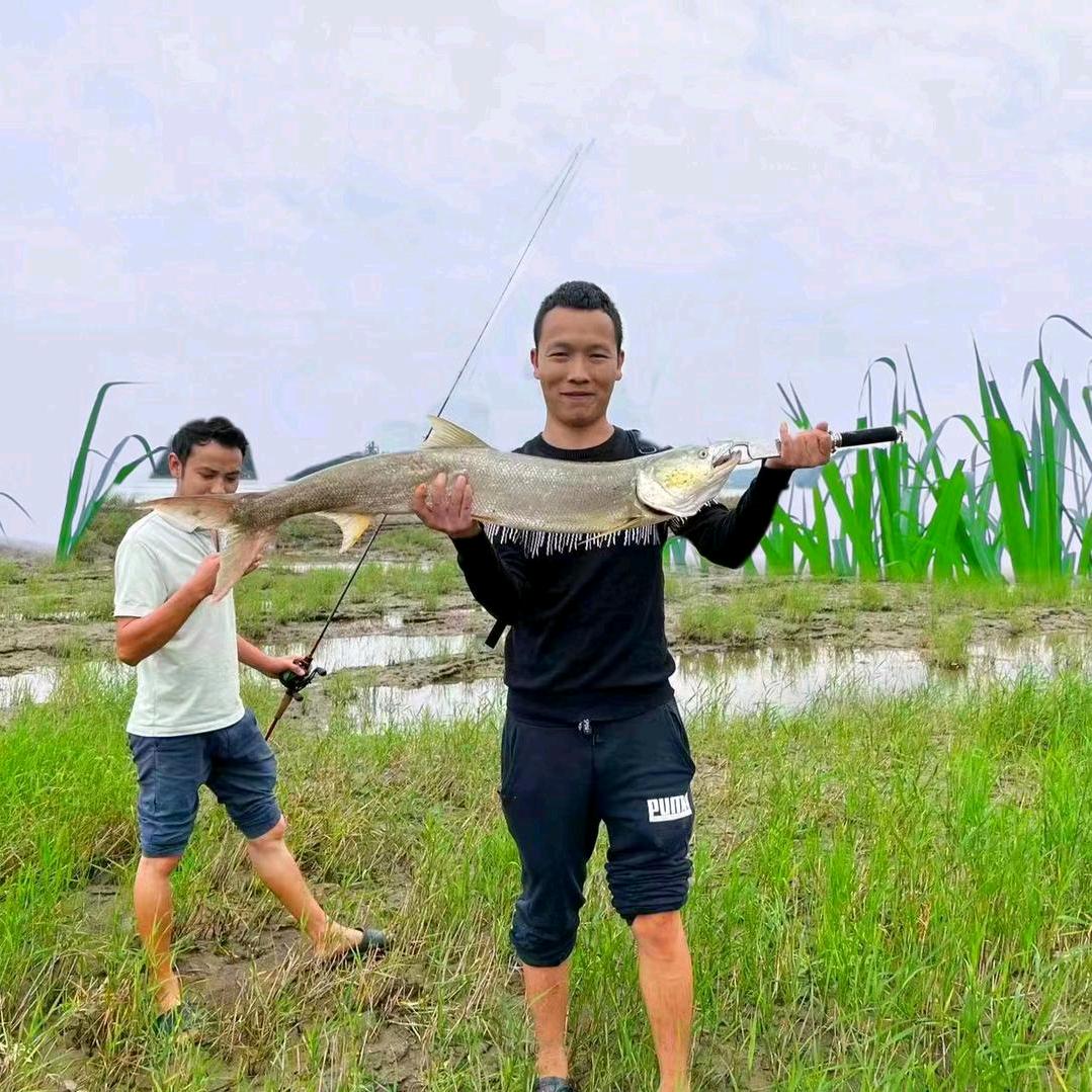强哥(⑅˃◡˂⑅)🎣