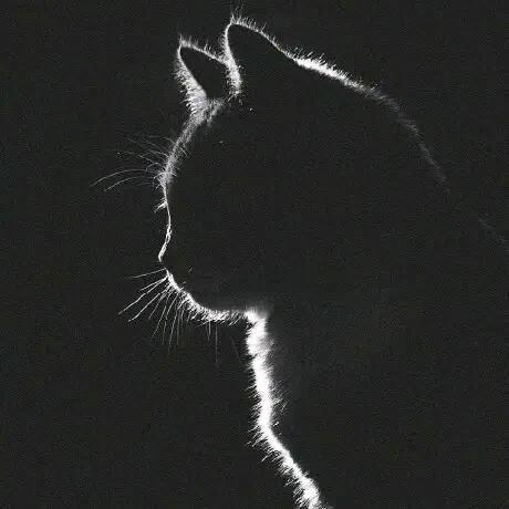 过ʚིྀིྀɞ客