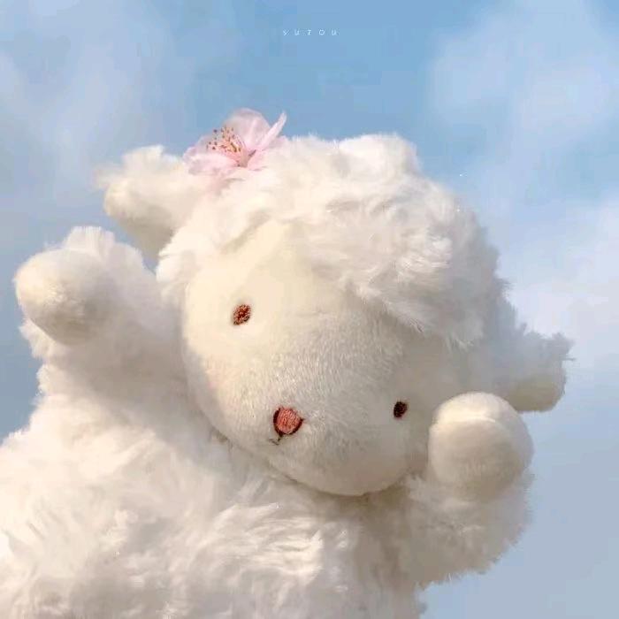 小福星驾到