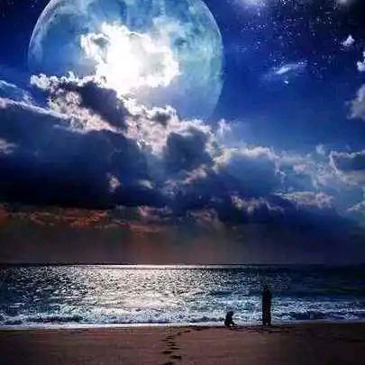 (｡･ω･｡)ﾉ♡(*^ω^*) 陈