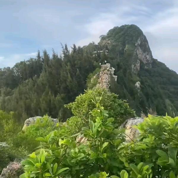 風⭐️火⭐️輪