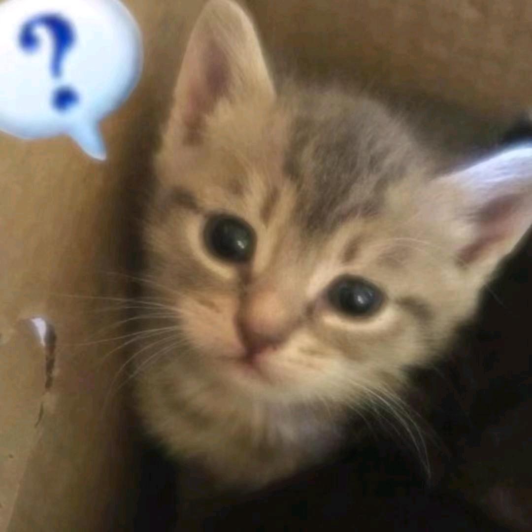 鱼骨^⌯𖥦⌯^ ੭