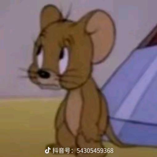 我一直都在