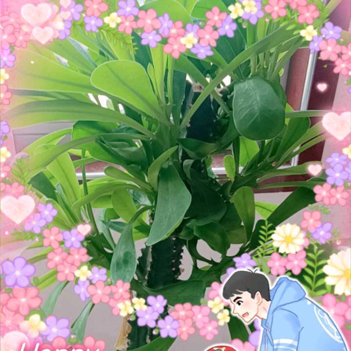 老韩