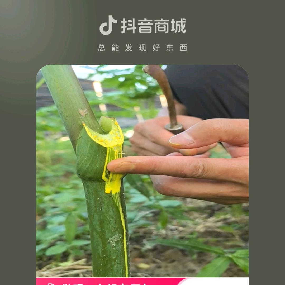 花满坡农特产甄选