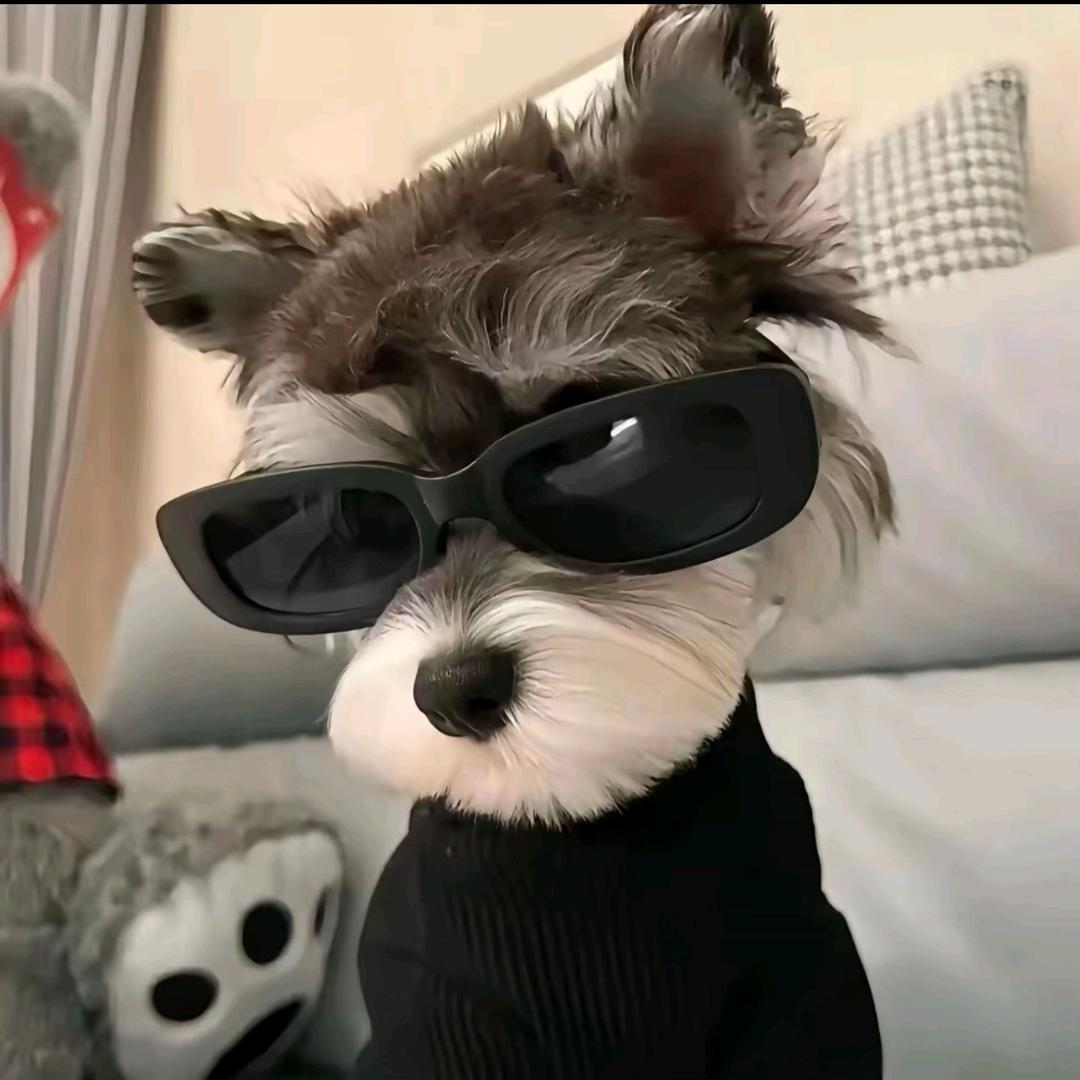 一蓑烟雨任平生。