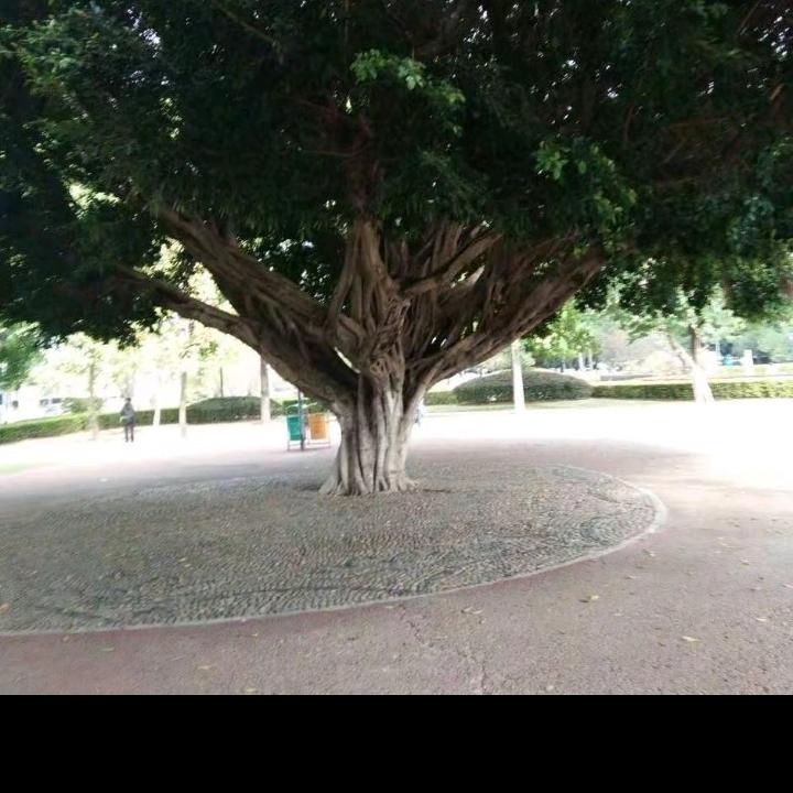 随风哥