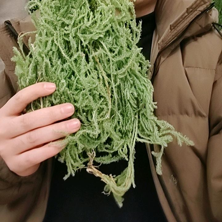 清风木语（博技源)