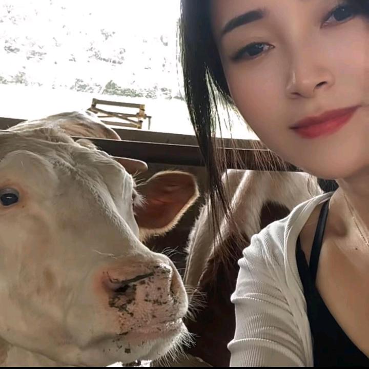 养牛的允儿2⃣（招徒）