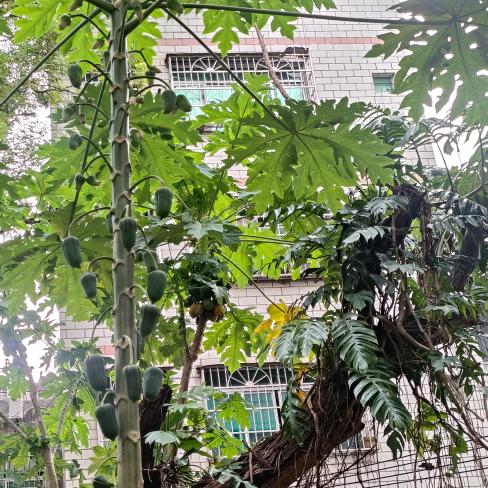 承接室内外装饰工程广告设计制作