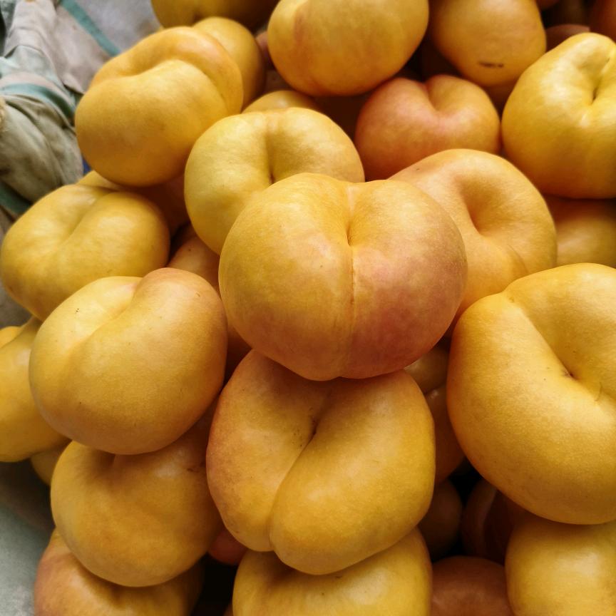 暖心向阳-水果代收