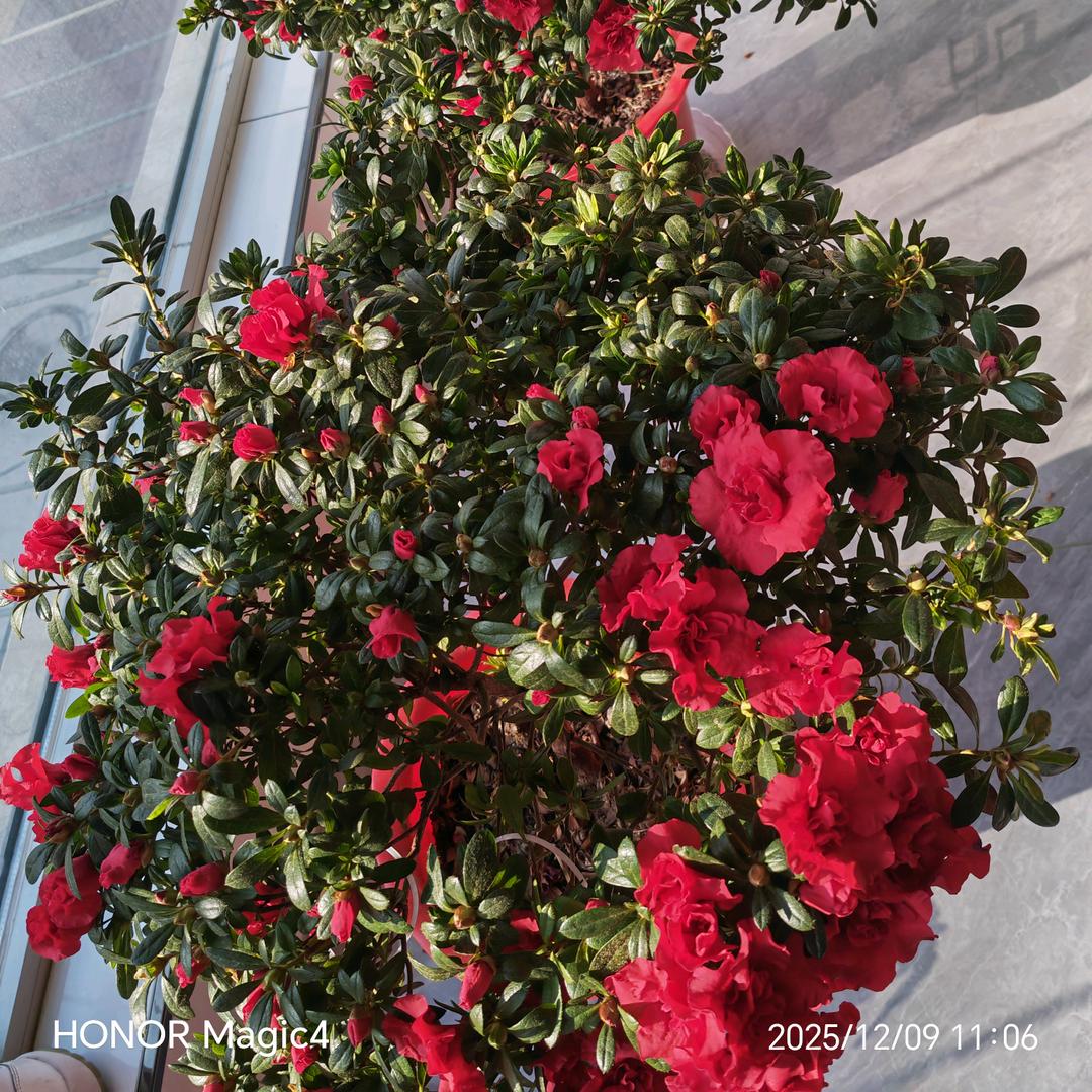 感恩遇见 感谢有你