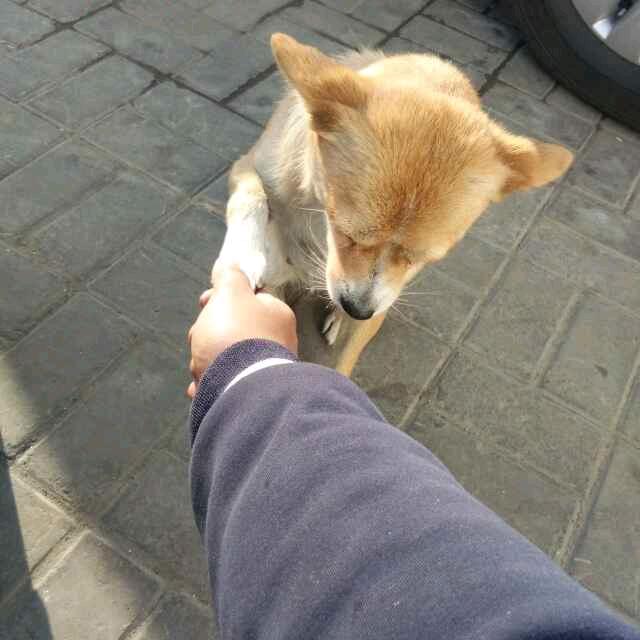 专业做防水
