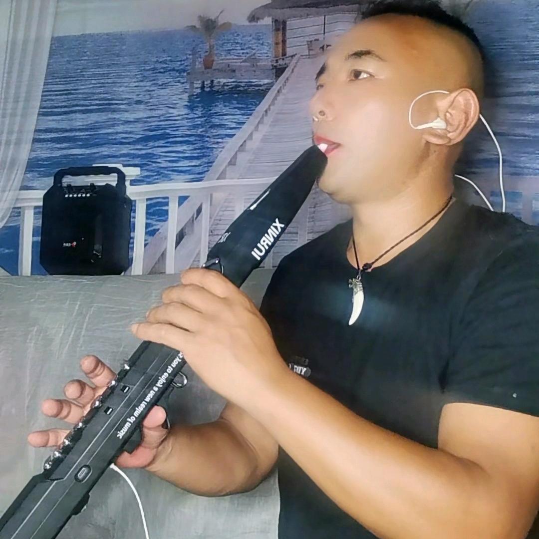 🎤祥歌（电吹管）