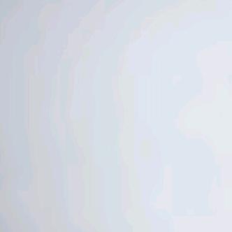 黑猫与白狗