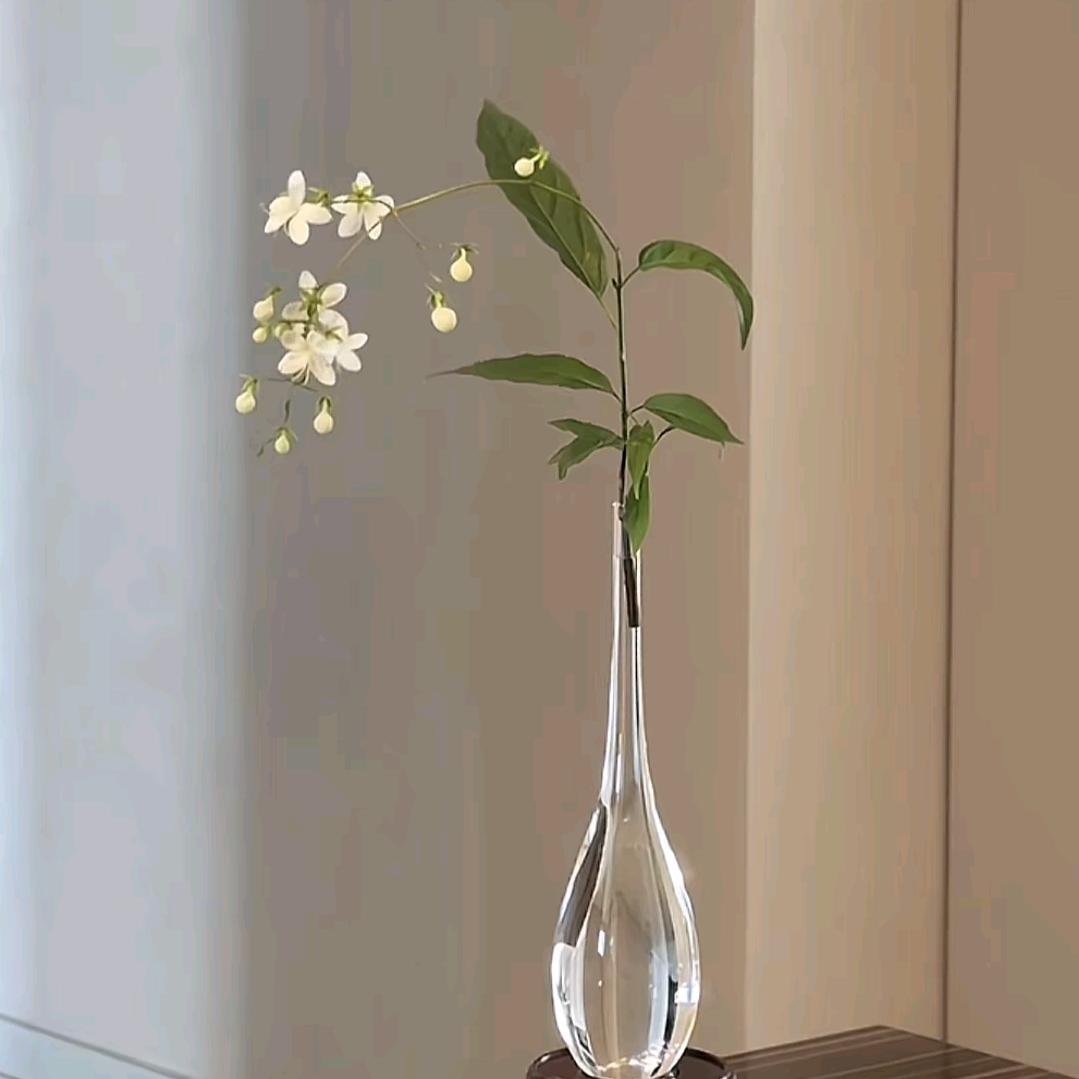 不 晚
