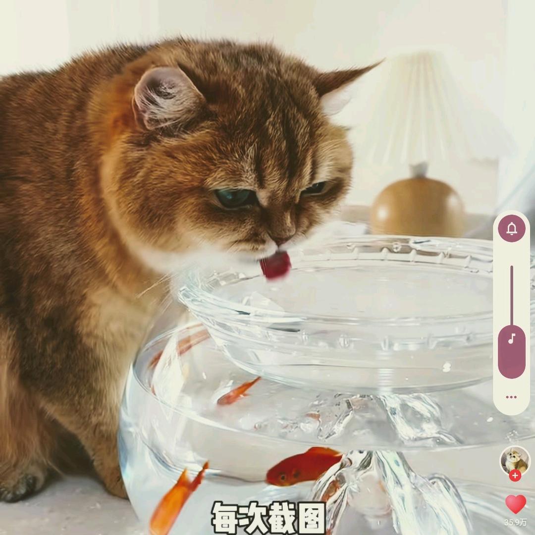 ☆告白☆