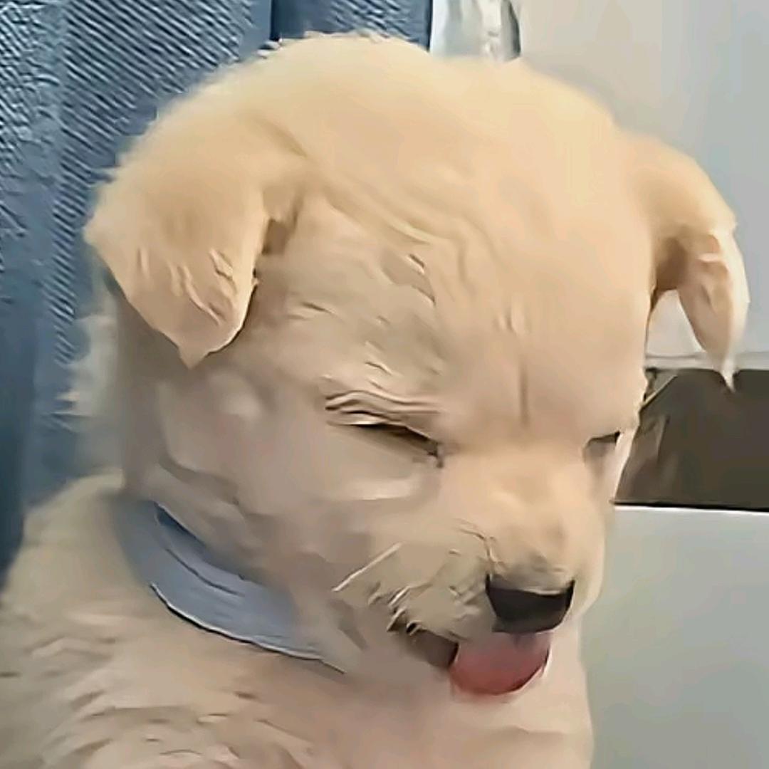 屁要偷偷的放