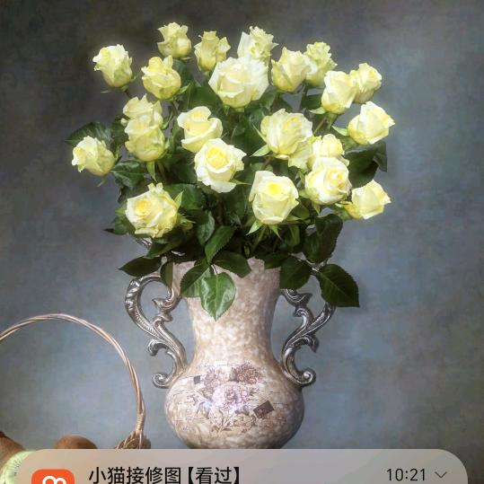 小情妹