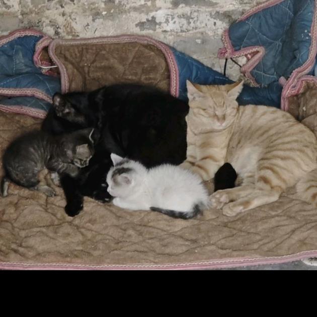 时间留下最真的人