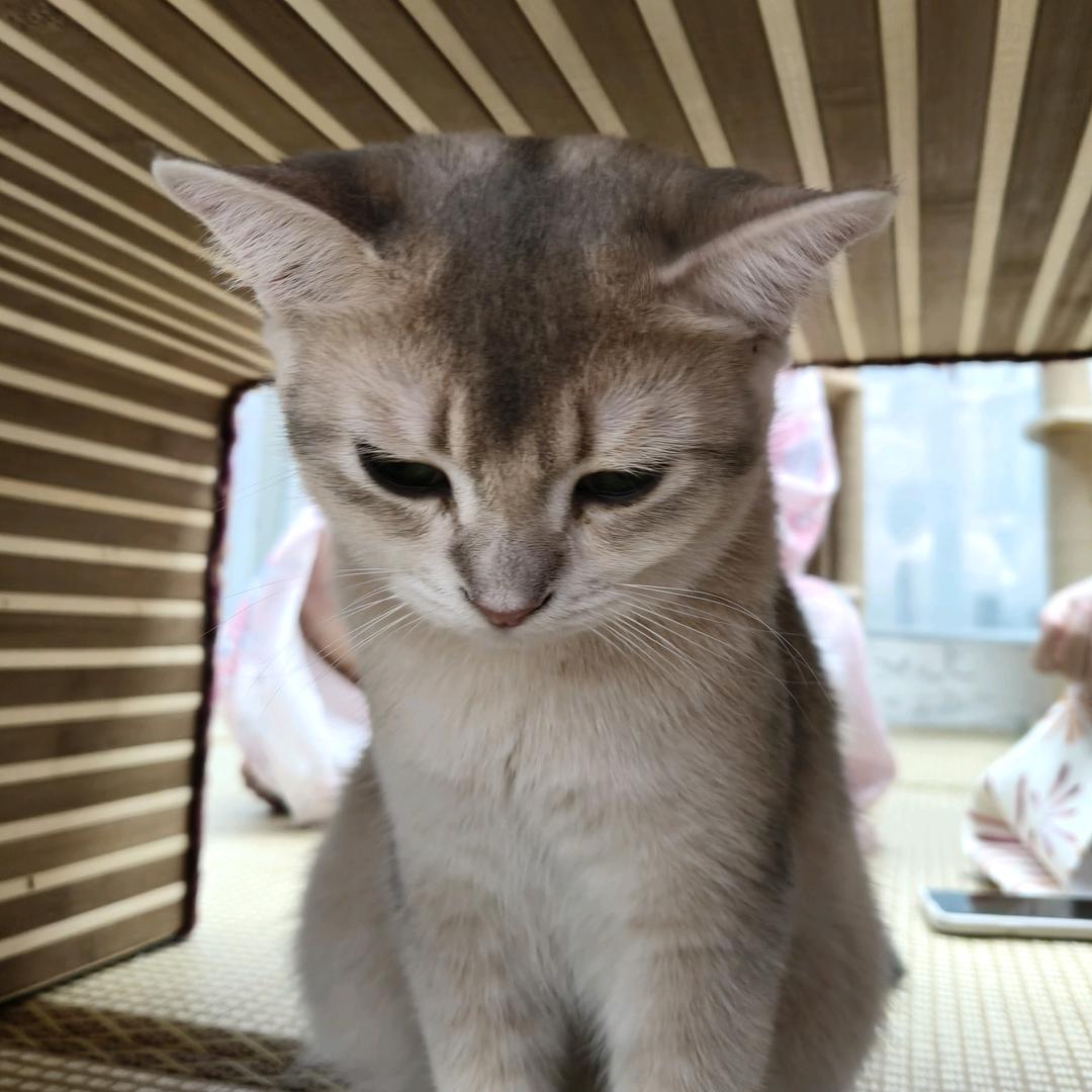 百味小黄鱼