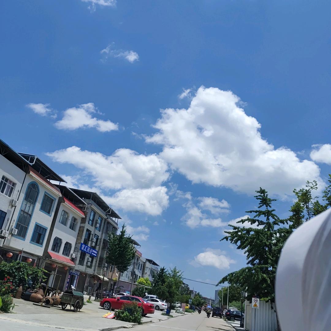 🌈柠檬汽水🌱