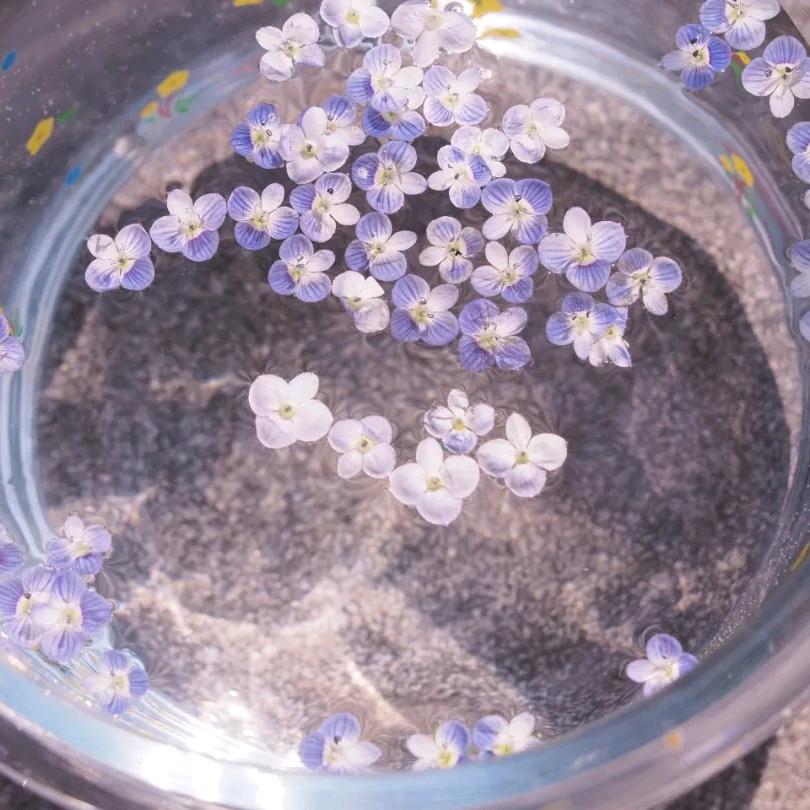 雪泥鸿爪