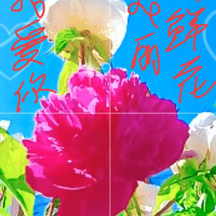 好运连连