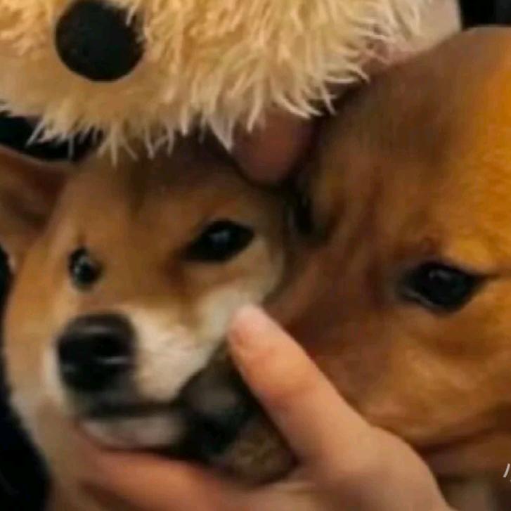 不知道起啥名～