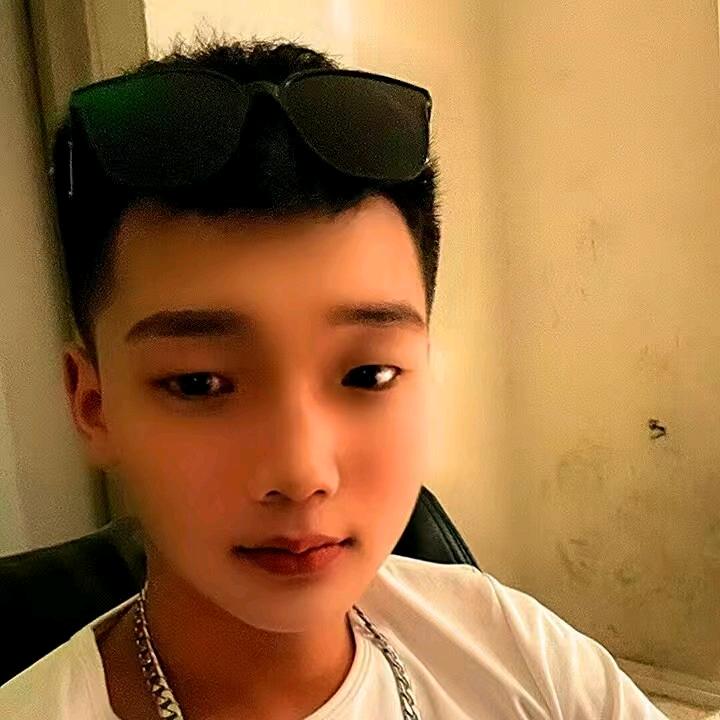 少杨