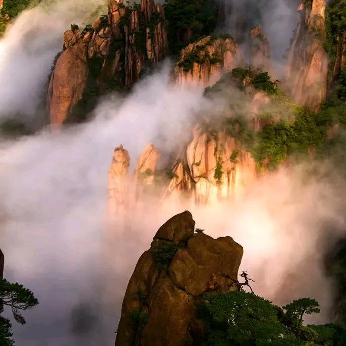 鱼乐钓鱼——骡子