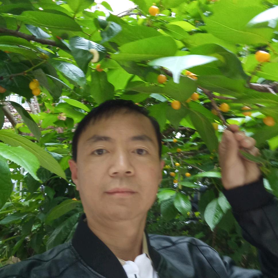 阿羊哥