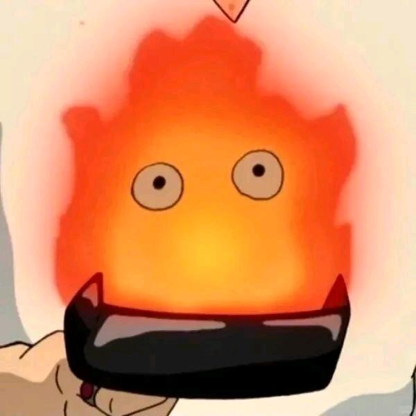 呆星